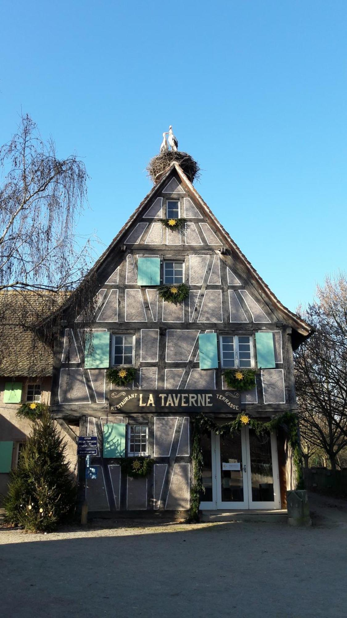 Les Loges De L'Ecomusee D'Alsace Ungersheim Eksteriør bilde