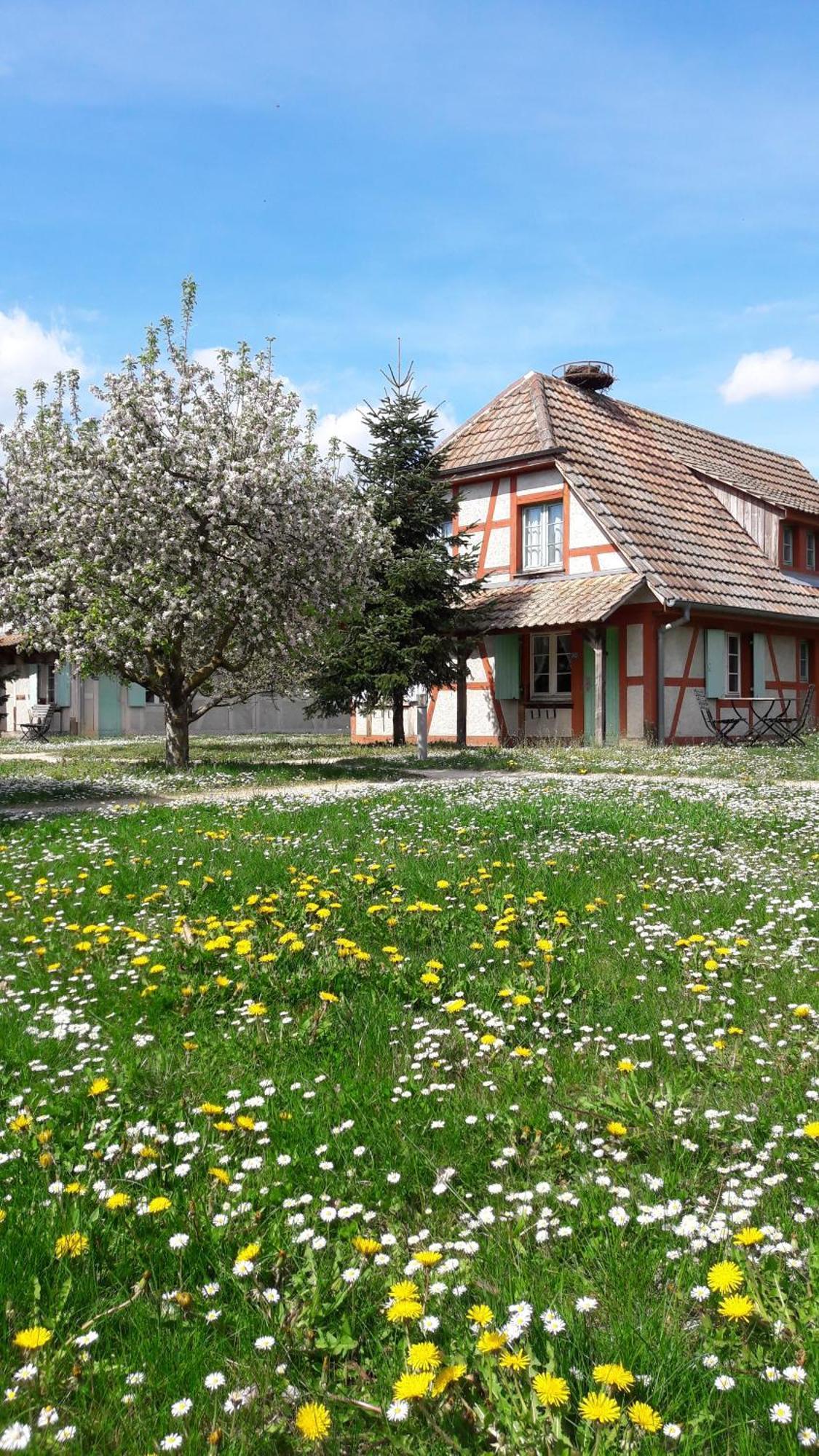 Les Loges De L'Ecomusee D'Alsace Ungersheim Eksteriør bilde