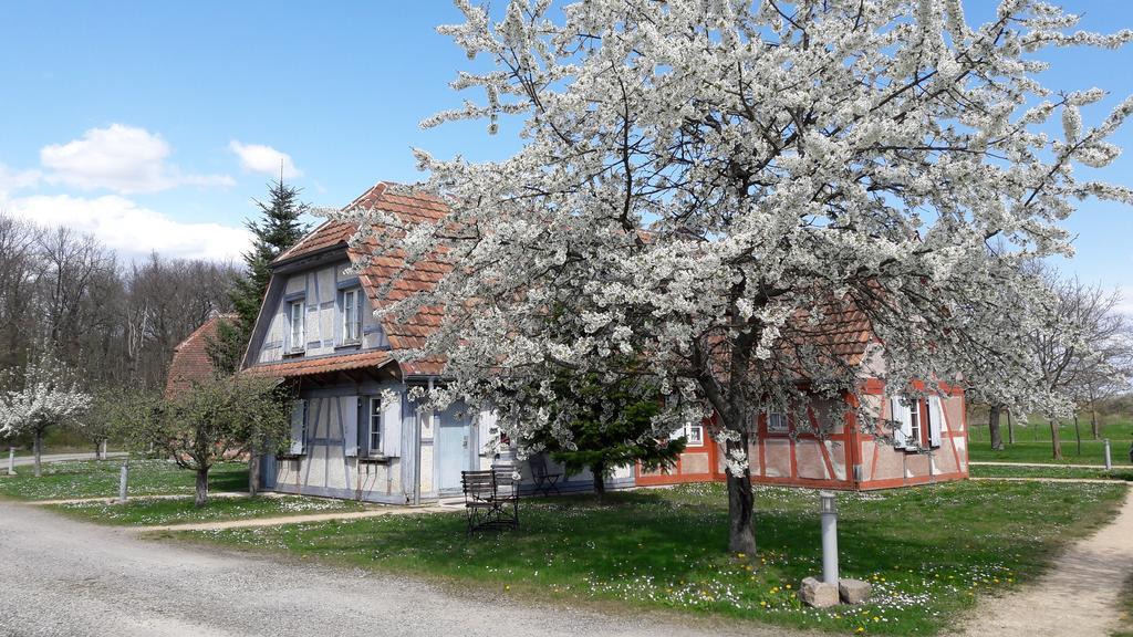 Les Loges De L'Ecomusee D'Alsace Ungersheim Eksteriør bilde