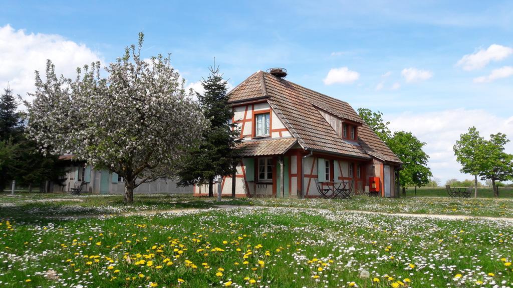 Les Loges De L'Ecomusee D'Alsace Ungersheim Eksteriør bilde